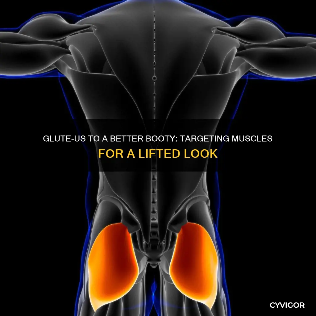 what muscles actually lift booty