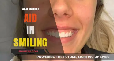 Flexing Facial Muscles: The Science Behind Smiling