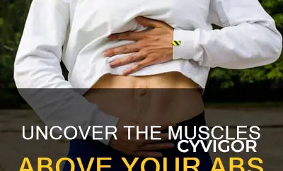 what muscles are above abs