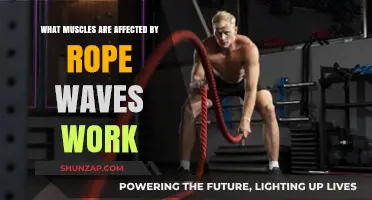 Rope Waves Workout: Targeted Muscles and Full-Body Benefits Explained