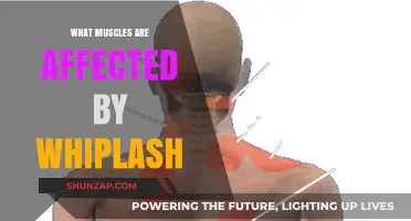 Understanding Whiplash: The Impact on Your Neck Muscles