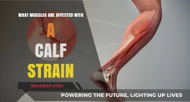 Understanding Calf Strains: Which Muscles Are Impacted?