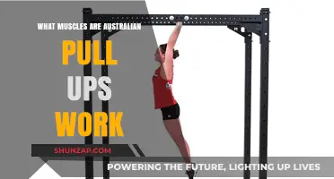 Australian Pull-Ups: Targeted Muscles and Benefits Explained