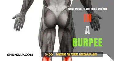 Burpee Breakdown: Muscles Engaged in This Full-Body Power Move