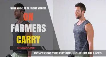 Farmers Carry Workout: Targeted Muscles and Full-Body Benefits Explained