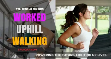 Uphill Walking: Target Muscles and Benefits for Strength and Endurance