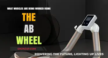 Ab Wheel Workout: Targeted Muscles and Core Strength Benefits