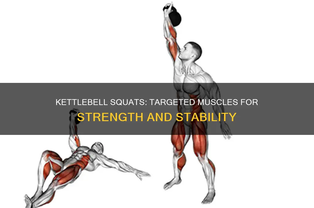 what muscles are being worked using the kettlebell for squats
