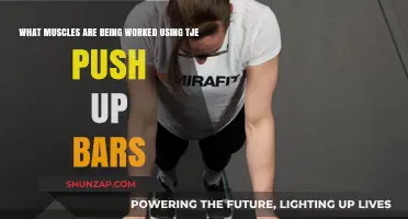 Push Up Bars: Targeted Muscles and Benefits for Strength Training