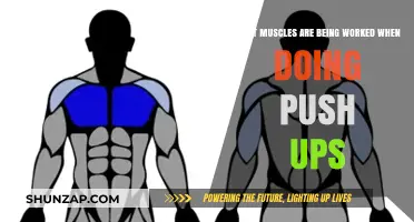 Push-Up Power: Targeted Muscles for Strength and Tone