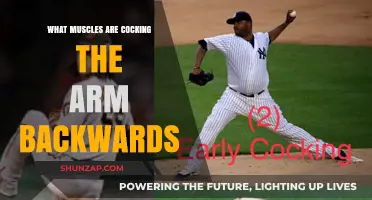 Muscles Behind Arm Cocking: Understanding Rearward Arm Movement Mechanics