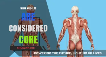 Core Muscles: What Are They?
