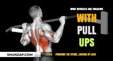 Pull-Up Power: Muscles Engaged in This Ultimate Upper-Body Exercise