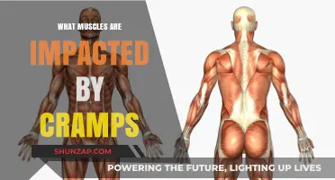 Unraveling the Mystery: Which Muscles are Most Affected by Cramps?