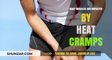 Heat Cramps: Unveiling the Muscular Impact of High Temperatures