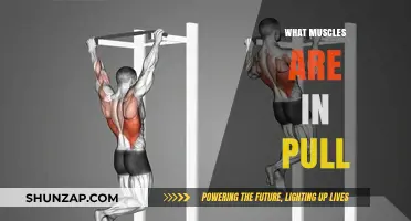 Mastering Pull Exercises: Key Muscles Engaged and Strengthened