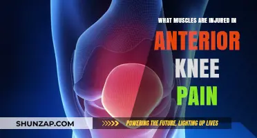 Understanding Anterior Knee Pain: Muscles Involved and Injury Causes
