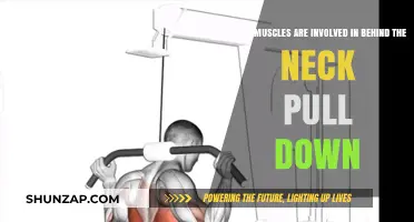 Behind-the-Neck Pull-Down: Key Muscles Engaged in This Exercise