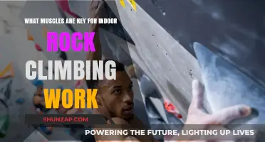 Essential Muscles for Indoor Rock Climbing: Strength and Technique