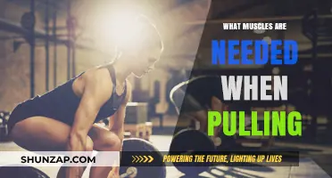 Muscles Essential for Pulling: A Comprehensive Guide to Strength Training