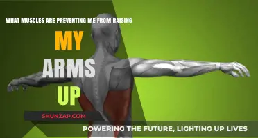 Unlock Arm Mobility: Muscles Limiting Your Overhead Reach Explained