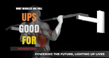 Pull-Ups: Targeting Back, Arms, and Core Muscles Effectively