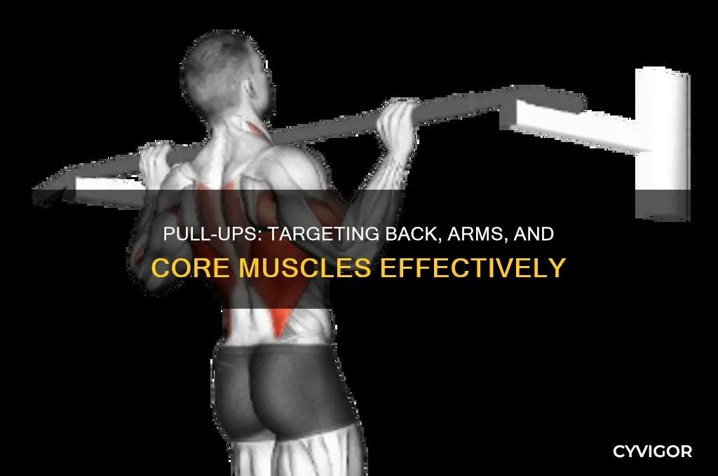 what muscles are pull ups good for