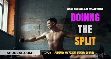 Muscles Stretched and Pulled During Splits: A Deep Dive