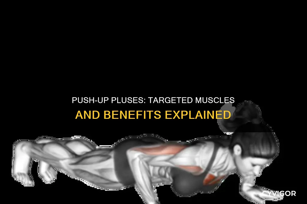 what muscles are push up pluses working