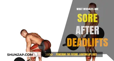 Deadlift Soreness Explained: Which Muscles Feel the Burn After Lifting