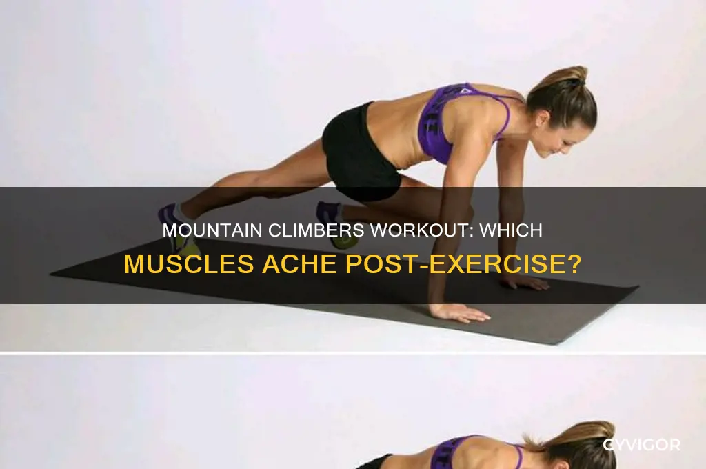 what muscles are sore after mountain climbers