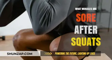 Squat Soreness Explained: Which Muscles Feel the Burn Post-Workout?