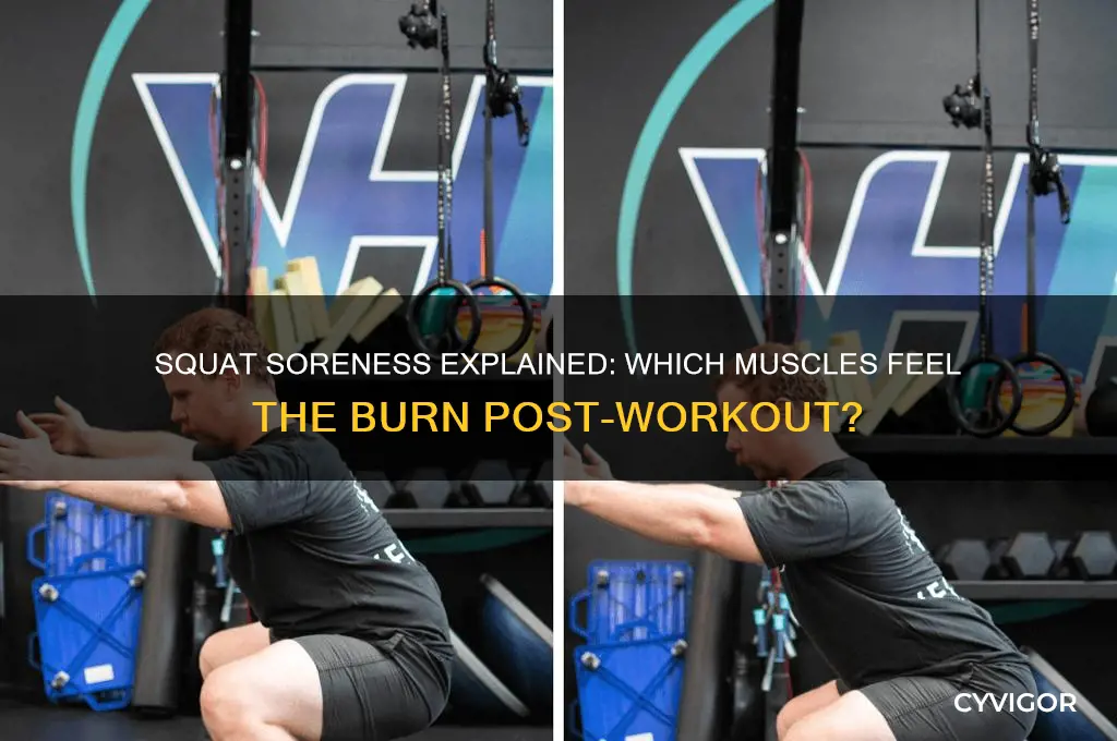 what muscles are sore after squats