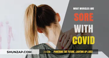 COVID Muscle Pain: Which Muscles Are Most Affected and Why?