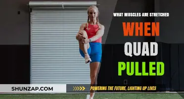 Quad Pull Stretches: Targeted Muscles and Effective Relief Techniques