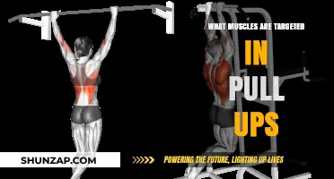 Pull-Up Power: Muscles Worked and Strengthened in Every Rep