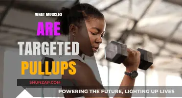 Pull-ups: Which Muscles Do They Target?
