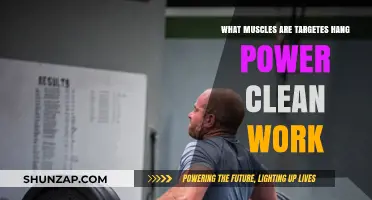 Targeted Muscles in Hang Power Cleans: A Comprehensive Breakdown