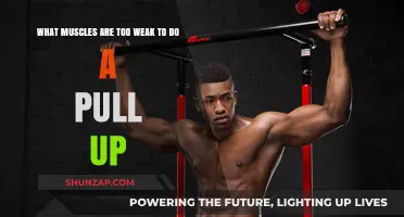 Weak Muscles Preventing Pull-Ups: Targeted Strength Training Solutions