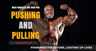 Muscles for Pushing and Pulling: Essential Strength Training Guide