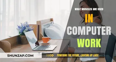 Muscles Engaged During Computer Work: Uncovering the Hidden Physical Demands