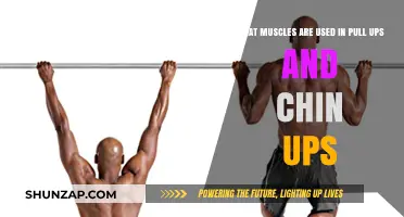 Pull-Ups vs. Chin-Ups: Muscles Worked and Strength Benefits