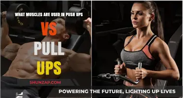 Push Ups vs Pull Ups: Muscles Engaged in Each Exercise