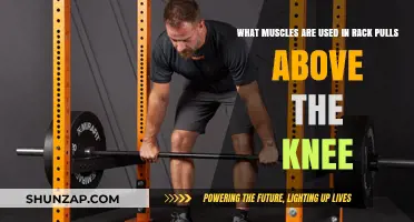 Rack Pulls Above the Knee: Muscles Engaged and Strengthened
