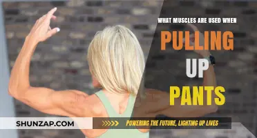 Muscles Engaged: The Surprising Workout of Pulling Up Your Pants