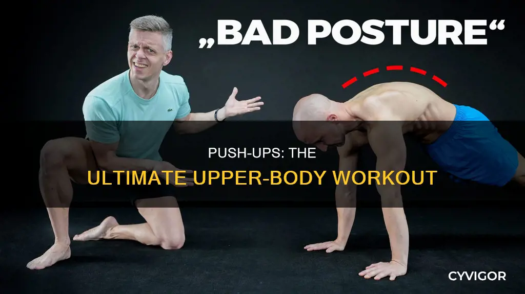what muscles are with pushups