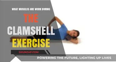 Clamshell Exercise: Targeted Muscles for Hip Stability and Strength