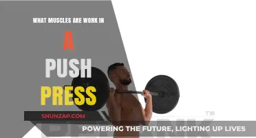 Muscles Engaged in a Push Press: A Comprehensive Breakdown