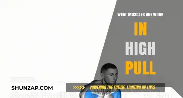 High Pull Muscles: Unlocking Power and Strength in Your Workout