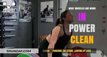 Power Clean Muscles: Unlocking Strength and Explosive Movement